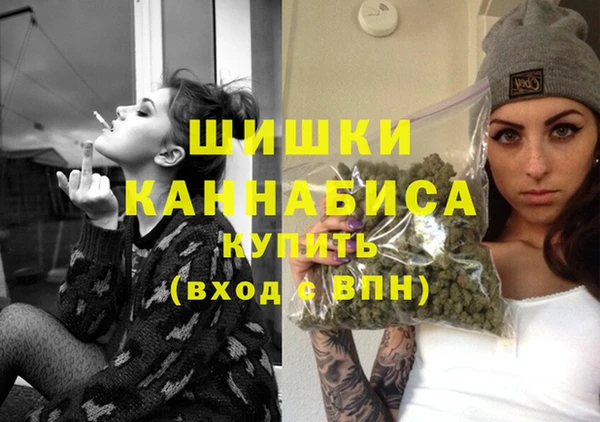 дмт Бронницы