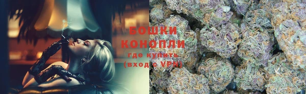 дмт Бронницы