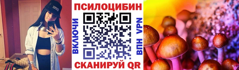 Галлюциногенные грибы ЛСД  купить  цена  Грязовец 